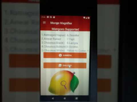 Mango Magnifier