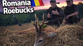 riesige Rehböcke in Rumänien - Hunter Brothers