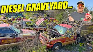 I Bought 5 Diesel Trucks For $5,000!!! This Is Where Ford Diesel Trucks Go To DIE!!!