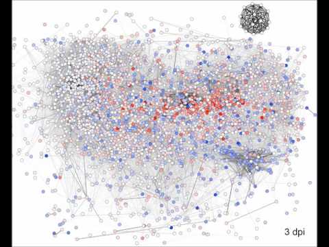 Analysis of the dynamic co-expression network of heart regeneration in the zebrafish