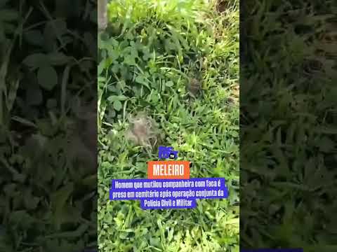 🚨 Preso em Meleiro homem investigado por agressões graves contra a companheira.