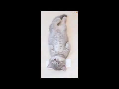 jiten love spa❤️❤️❤️😘😘😘😘😘 and massages