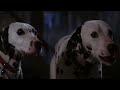 101 Dálmatas Pongo Perdy Van Al Rescate De Sus Cachorros HD