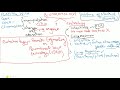 An Introduction To Biotechnology In Hindi Simple And Easy To Understand