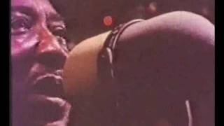 Muddy Waters - Hoochie Coochie Man (1970)