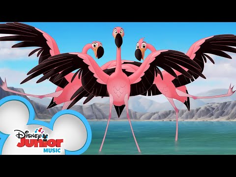 Video thumbnail for Flamingo Dance Party