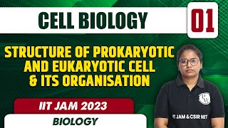 Cell Biology 01 | Structure of Prokaryotic and Eukaryotic Cell & its Organisation | IIT JAM 2023