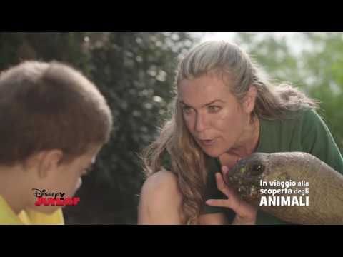 Disney Junior - In Viaggio Alla Scoperta degli Animali - Testuggini