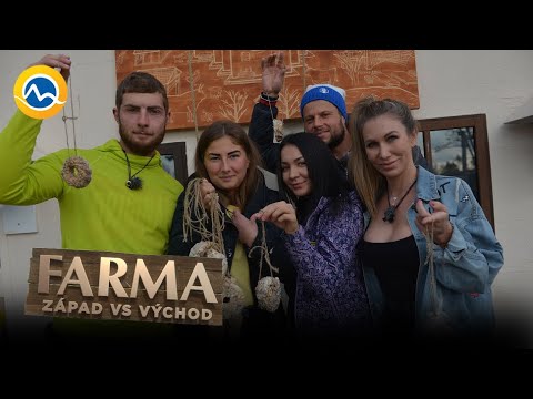 FARMA - Veľké emócie pred duelom: Farmári sa dozvedeli, čo ich čaká v záverečnom týždni!