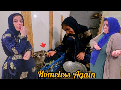 Homeless Again: The Repeating Nightmare of Tayeba and Hamidreza😭