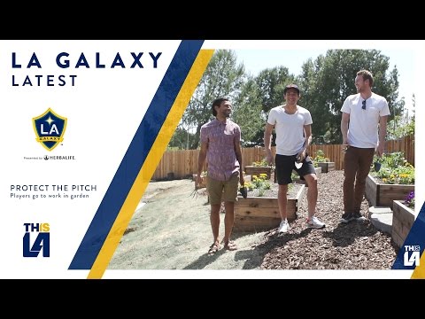 Husidic, Rowe, and McBean go to work in the Galaxy gardens