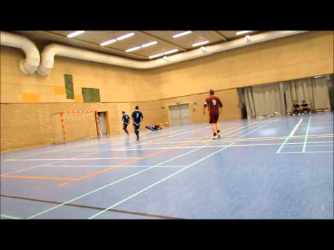 Samenvatting Dynamo Katastroof