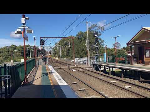 Freight Train - Goods Train - Pacific National Locomotives - Heading North through Cowan NSW