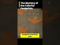 Sesame Street The Mystery Of The Colorful Footprints Sesamestreet Kidsvideo Shorts