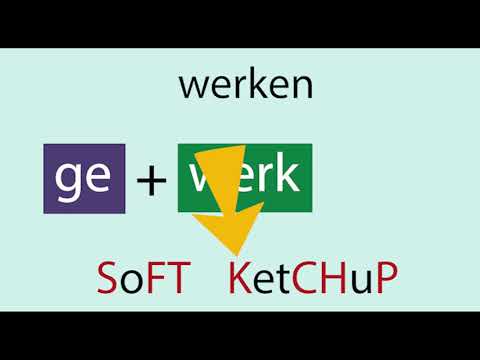 The regular Dutch verb in the perfect tense