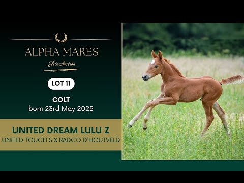 LOT 11 : Colt by United Touch S