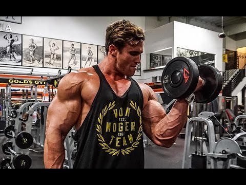 ARM DAY ist der BESTE Tag | zwei Wochen später | Calum Von Moger