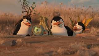 The Penguins robbery ( Madagascar 2) in hindi