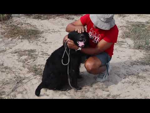Vídeo de TOKEY