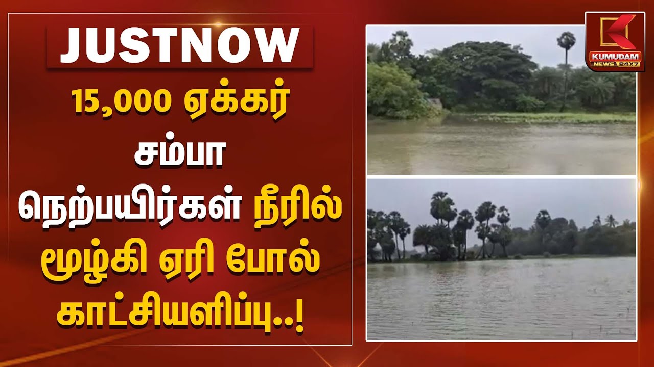Ditwah | Farmers | 15,000 ஏக்கர் சம்பா நெற்பயிர்கள் நீரில் மூழ்கி ஏரி போல் காட்சியளிப்பு | Karaikal