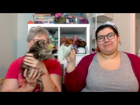 Cherry Purls Episode 83 - A Dose of Kitten Cuteness