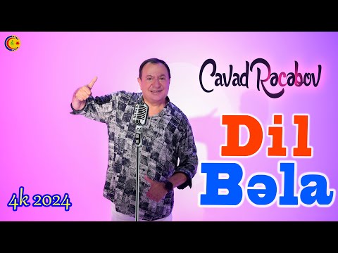 Cavad Recebov || Dil Bəla || Official klip 2024 || 4k -