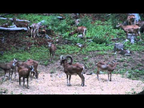 Tekovská Breznica - Roveň 2