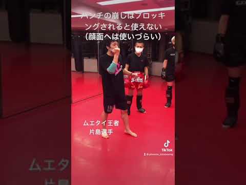 パンチの崩しの応用