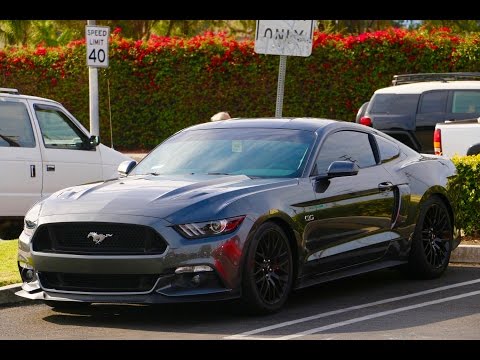 2016 Mustang GT Steeda IRS Subframe Support Braces