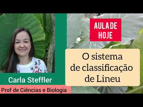 O sistema de classificação de Lineu
