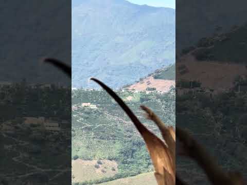 Vereda Palo Blanco, límites entre Heliconia y Armenia Mantequilla en Antioquia