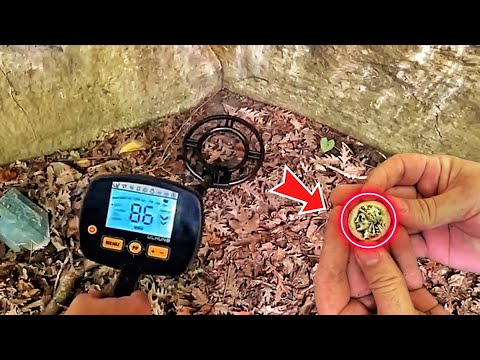 Challenge nature in 5 minutes #ULHUND Professional Metal Detector / Treasure Hunting