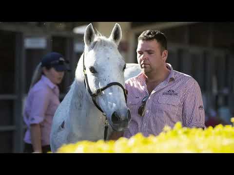 2020 Gold Coast National Weanling Sale Day 2