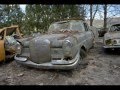Another Vintage Car Automobile VW Beetle Graveyard