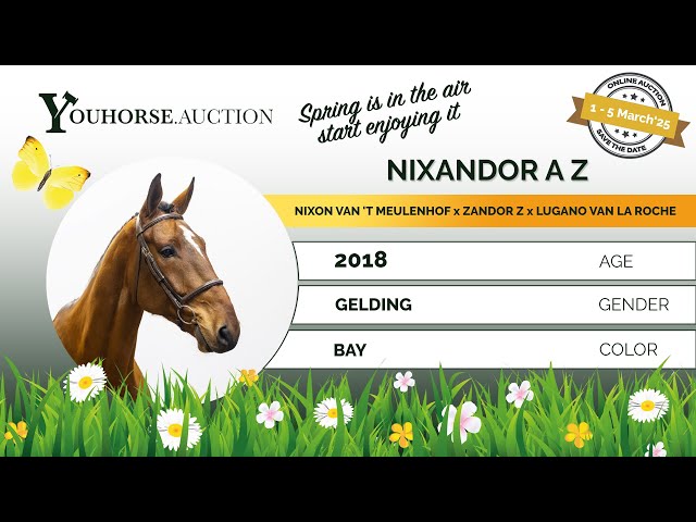 Nixandor A Z