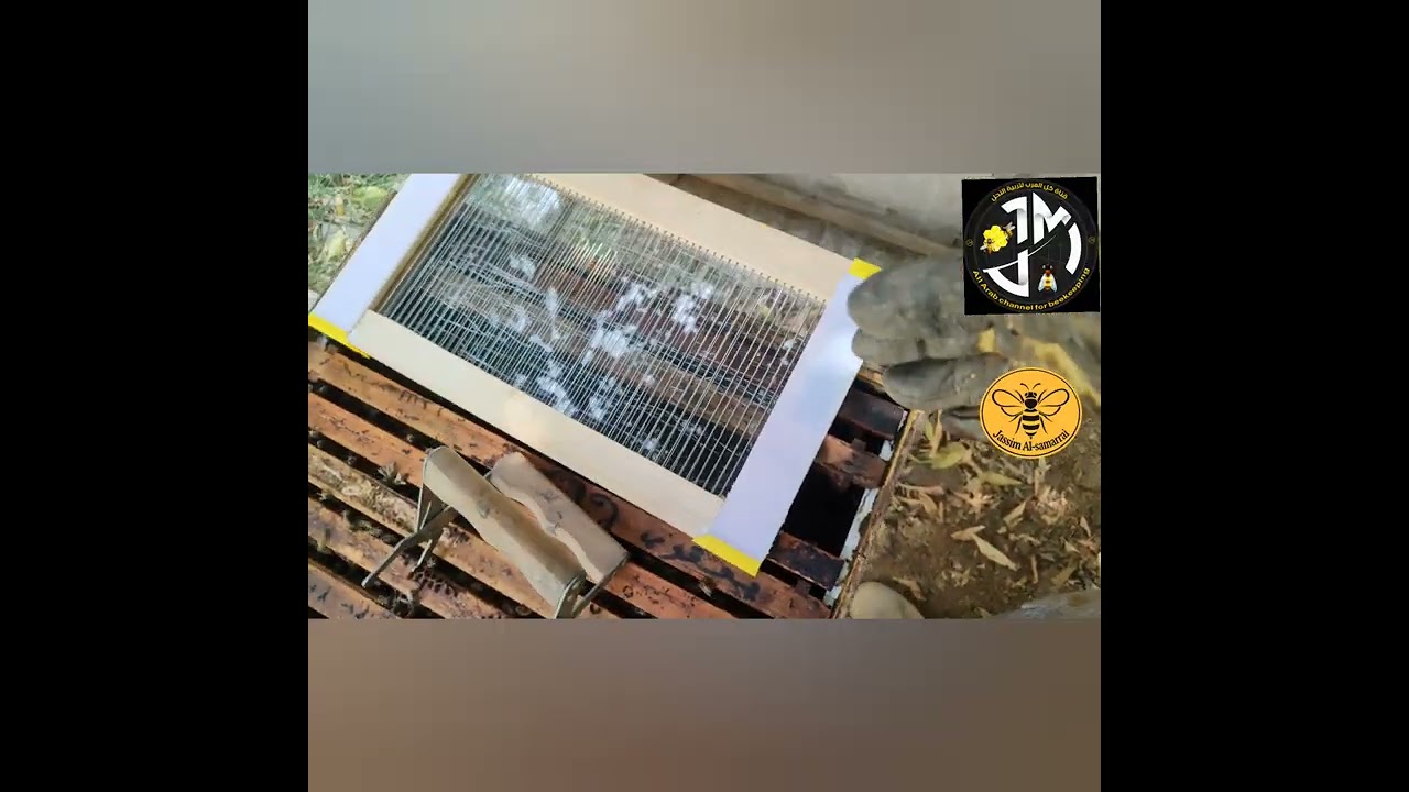 اجهزة جمع وانتاج سم النحل متوفر للبيع 07731981994