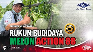 Download lagu BISI Sahabat Petani : Rukun Budidaya #Melon Action 88 mp3 Download lagu BISI Sahabat Petani : Rukun Budidaya #Melon Action 88 mp3