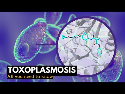 Toxoplasmosis: What You Need To Know