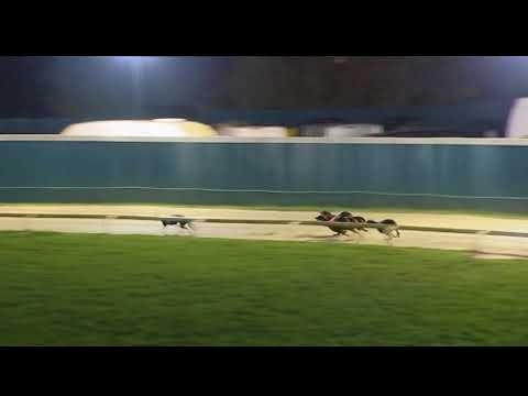 2017 RPGTV HENLOW DERBY FINAL - T4 KING ELVIS