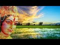 Annapurna Stotram Powerful Hymn Of Goddess Annapurna Annapurna Stotram With Lyrics