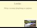 lorelai (karaoke) - Die Lorelei 