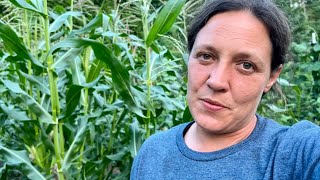 It Can Wait til Tomorrow || October Beans, Blueberry Dessert & Sweet Potato Biscuits || July 2025