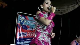 Download lagu TAYUB GAYENG NUNGGU BUKO - Shanty Shafara - DUTA NADA mp3