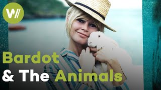 Brigitte Bardot, fighting for animals rather than fame: a battle against all odds