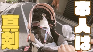 絶対前見えてないでしょ？w