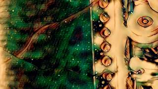 &quot;N Dakota&quot; Parquet Courts (acoustic version by GO HOME)