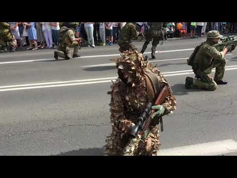 GWARKI 2017 r. - oryginalne oświadczyny