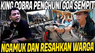 Download lagu DETIK-DETIK PENANGKAPAN KING COBRA MONSTER PENGHUNI GOA SEMPIT !! mp3