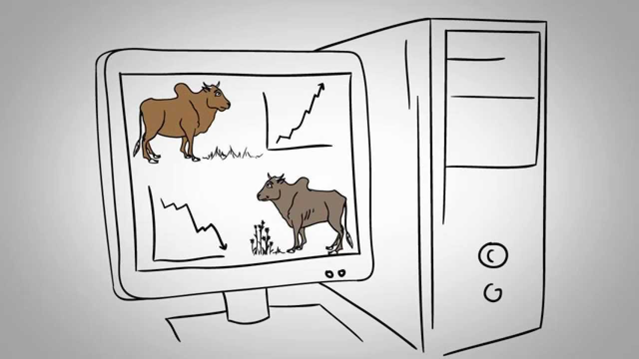 The Feed Assessment Tool (FEAST) instructional design process