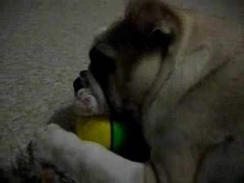 Shanaynay and the wiggly ball